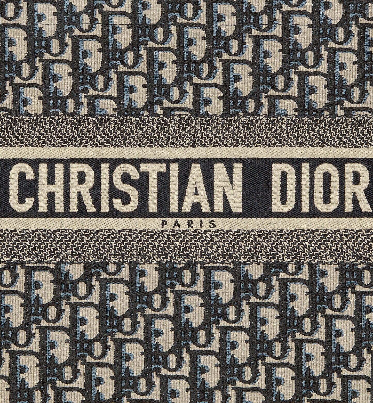 Dior Book Tote