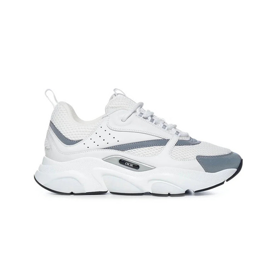 Dior B22