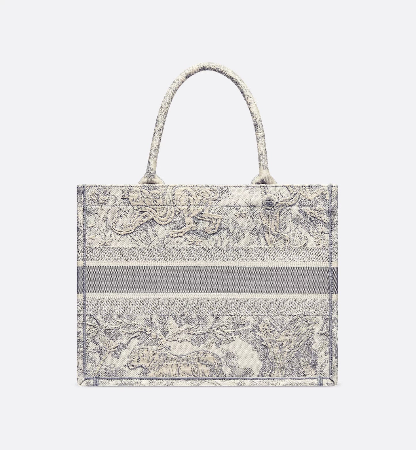 Dior Book Tote