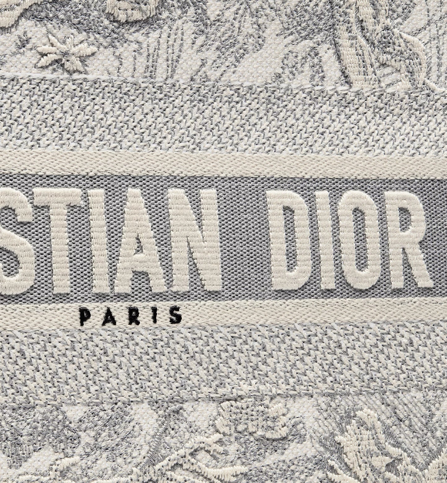 Dior Book Tote